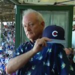 Chicago Cubs Super Fan Bill Murray