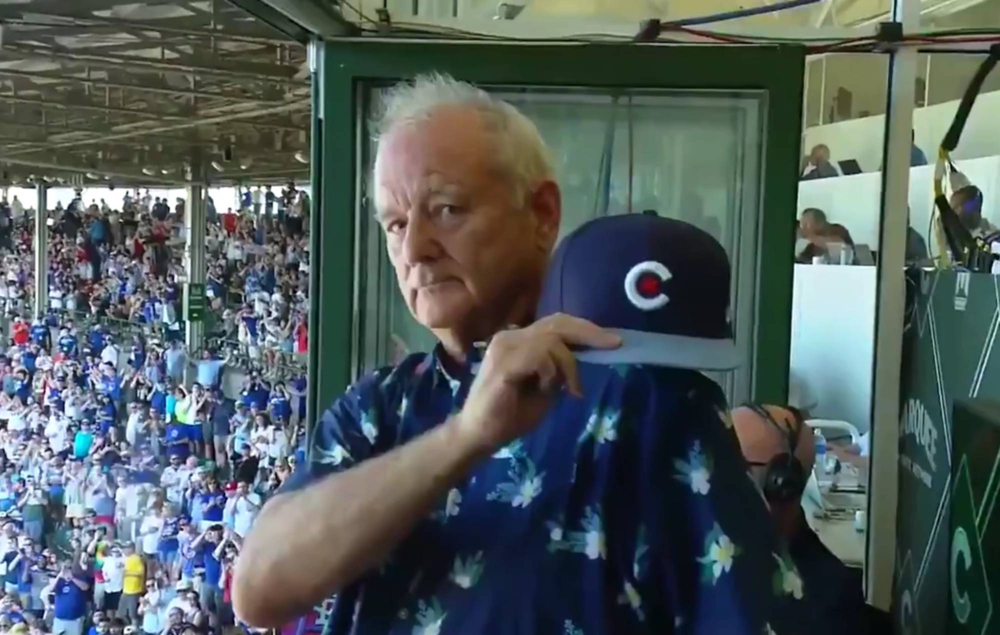 Chicago Cubs Super Fan Bill Murray