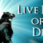 Live Free Or Die: The Fearless Leadership of John Stark