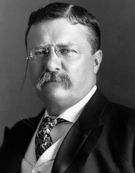 The Life Of Teddy Roosevelt