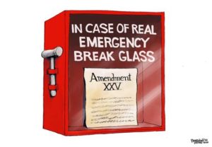 25 Amendment